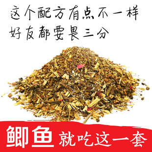 鲫不停麝香丁香千里香钓鱼药酒配方药材泡酒中草药专攻鲫鱼小药