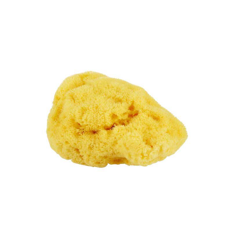 施丹兰天然海绵洗脸洗澡婴儿可用