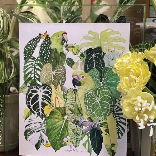 装饰画工艺画二怂先生水彩画热植