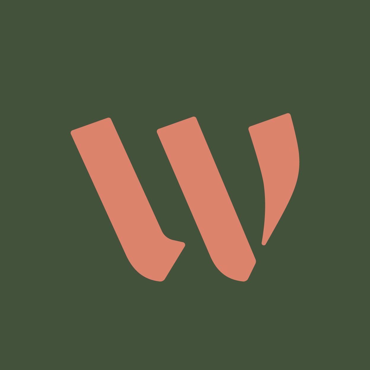 直播链接限时专拍链接