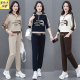 新款 女士春秋2026年春季 洋气卫衣两件套 运动套装 减龄立领休闲时尚