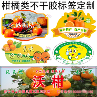 定制柑橘类贴纸柚子砂糖橘金桔标签丑柑沃柑蜜桔马水桔橙子不干胶