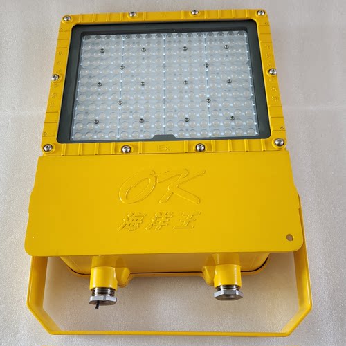 海洋王BFC8119防爆泛光灯200W