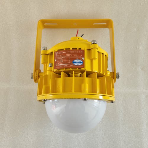 海洋王BPC8767防爆平台灯BPE8767