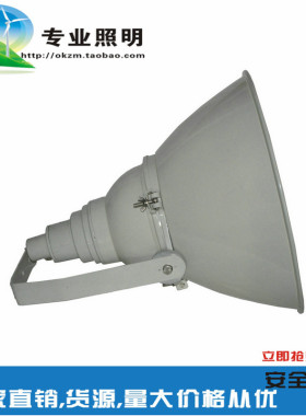 海洋王NTC9200防震型超强投光灯大功率探照灯1000W户外强光