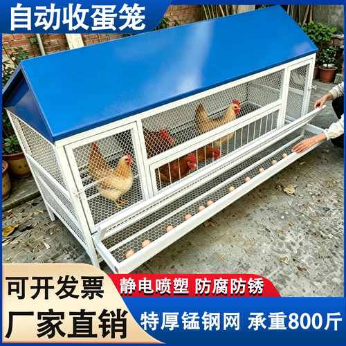 新型鸡笼子家用室外大号自动清粪养鸡专用笼防雨养鸡笼大尺寸鸡舍