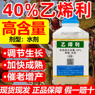 40%乙烯利生长调节剂番茄棉花水稻烟叶香蕉催熟增产生长调节剂药