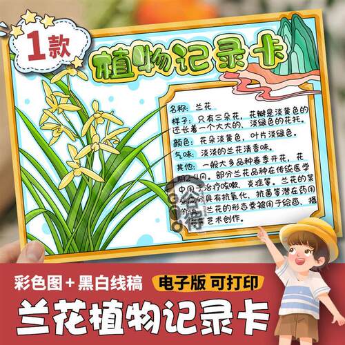 兰花植物记录卡手抄报电子模板 小学生生长观察自然植物朋友736