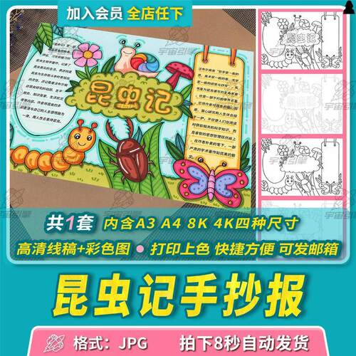 手抄报昆虫记读后感手抄报模板好书推荐读书自然笔记电子版线稿打