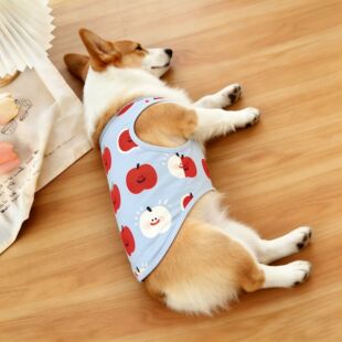 宠物狗狗衣服红色苹果白色苹果浅蓝背心柯基中型犬清新舒适