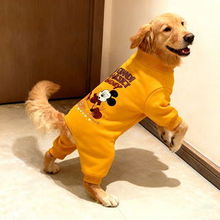 25狗狗新款 米奇大型犬金毛萨摩秋冬保暖四脚衣 防冻亮黄底卡通经典