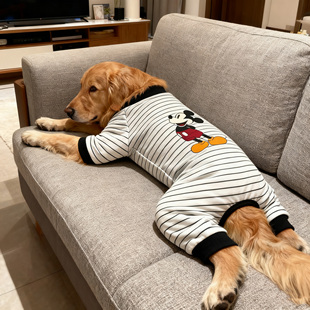 狗狗新款 米奇秋冬四脚衣大型犬金毛萨摩 衣服防冻灰黑条纹经典