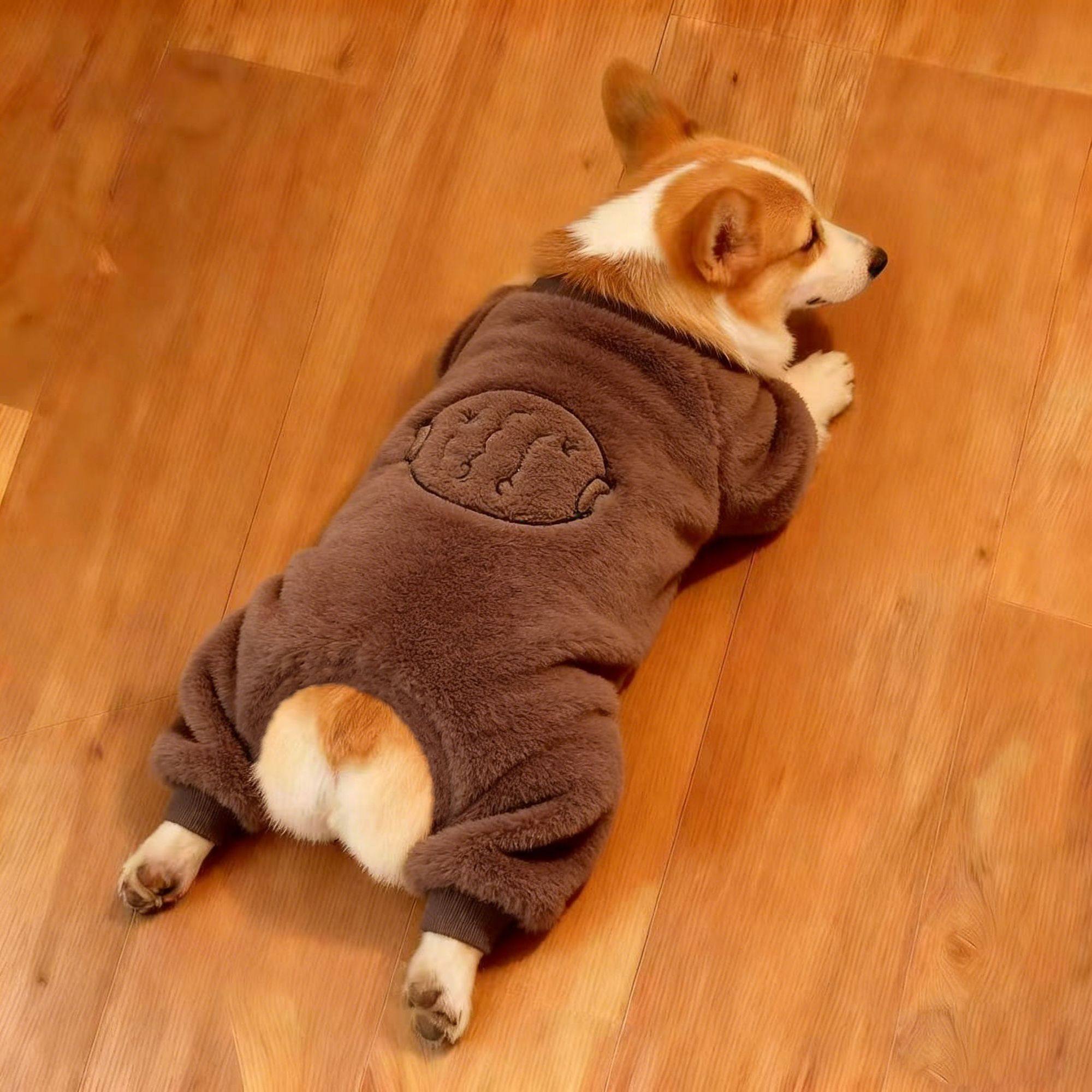 狗狗秋冬毛绒卡通鱼图案保暖四脚衣四脚衣中型犬柯基法斗柴犬巴哥,宠物/宠物食品及用品,狗宠物服装/雨衣,淘宝优惠券,粉丝福利购,淘宝优惠卷