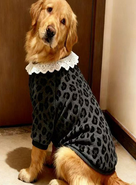 25狗狗新款衣服防冻黑灰豹纹白色领口秋冬两脚衣金毛萨摩保暖