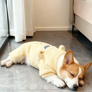 宠物秋冬奶黄毛绒立体小熊四脚衣中型犬柯基柴犬法斗巴哥