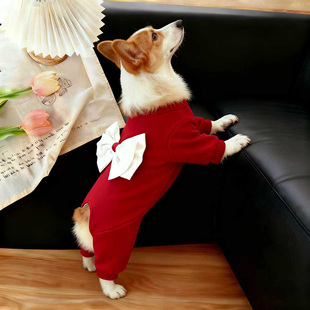 狗衣服冬季 饰宠物秋冬中型犬柯基法斗保暖四脚衣 红色大蝴蝶结装