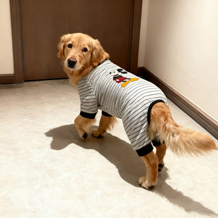 狗狗新款 米奇秋冬四脚衣大型犬金毛萨摩 衣服防冻灰黑条纹经典