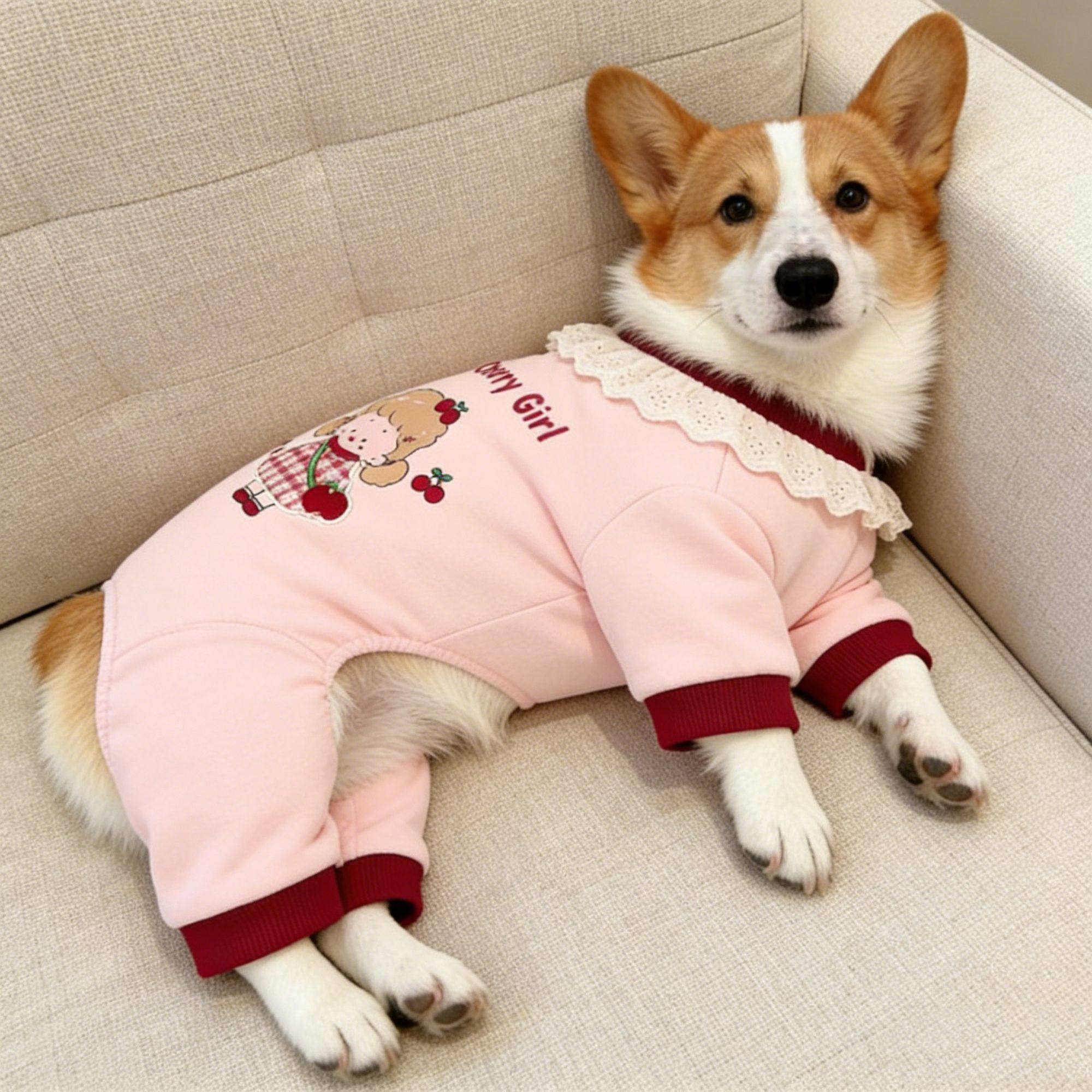狗狗冬季新款浅粉底花边领卡通图案保暖四脚衣中型犬舒适宠物服饰,宠物/宠物食品及用品,狗宠物服装/雨衣,淘宝优惠券,粉丝福利购,淘宝优惠卷