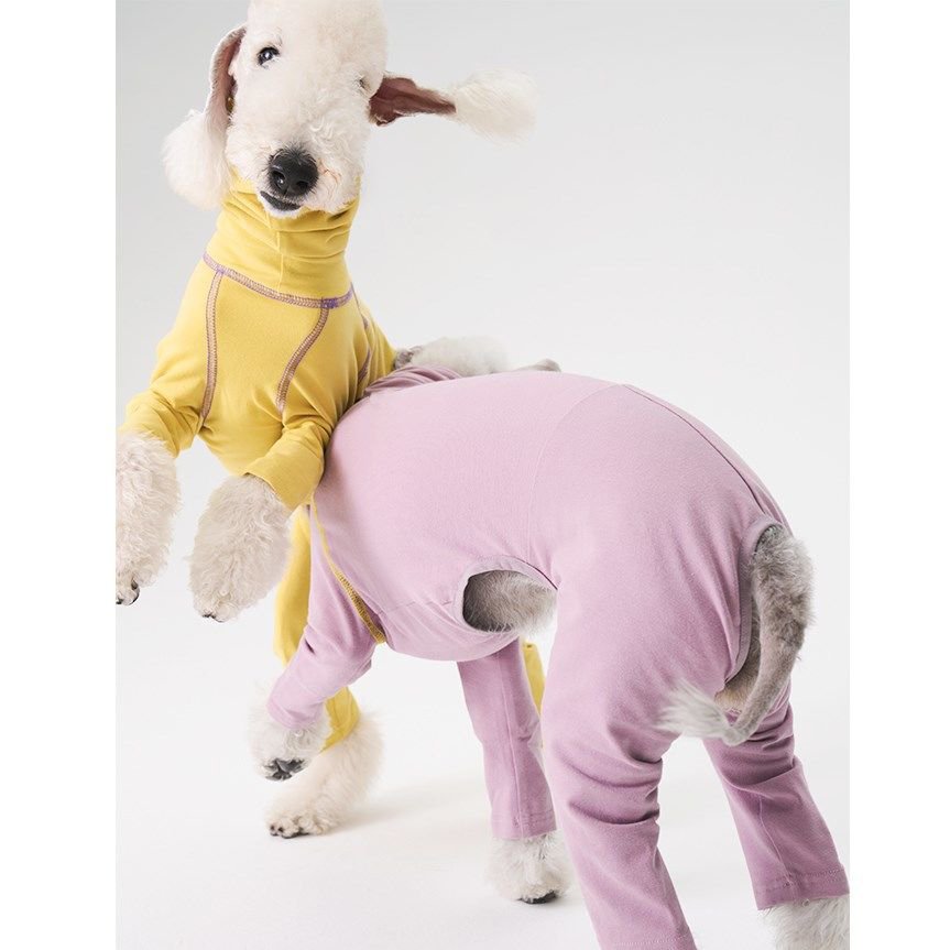 德绒贝灵顿狗狗衣服中型犬超弹四脚打底衫2024年秋冬惠比特小灵缇