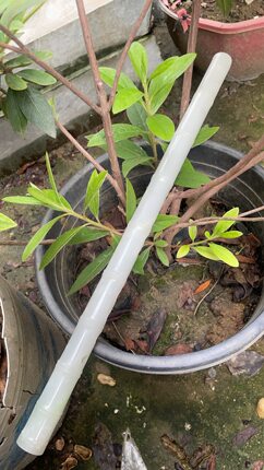 和田玉白玉加翠C调玉箫收藏高级乐器