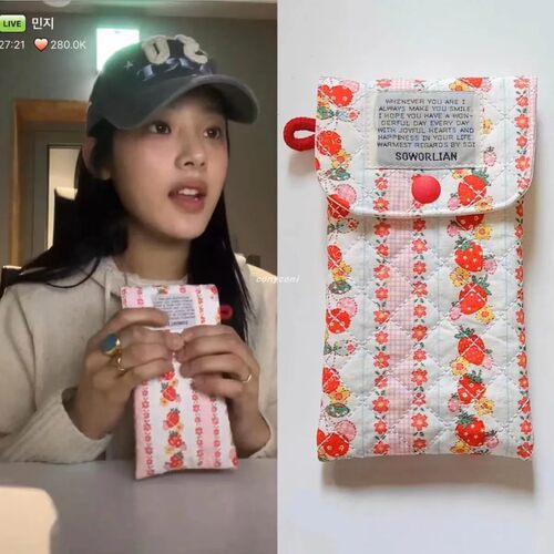 韩版ins可爱少女印花newjeans minji同款草莓夹棉绗缝收纳袋笔袋