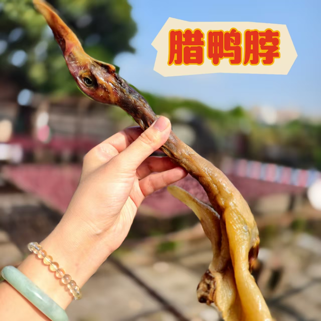 东莞白沙腊鸭鸭脖子鸭头