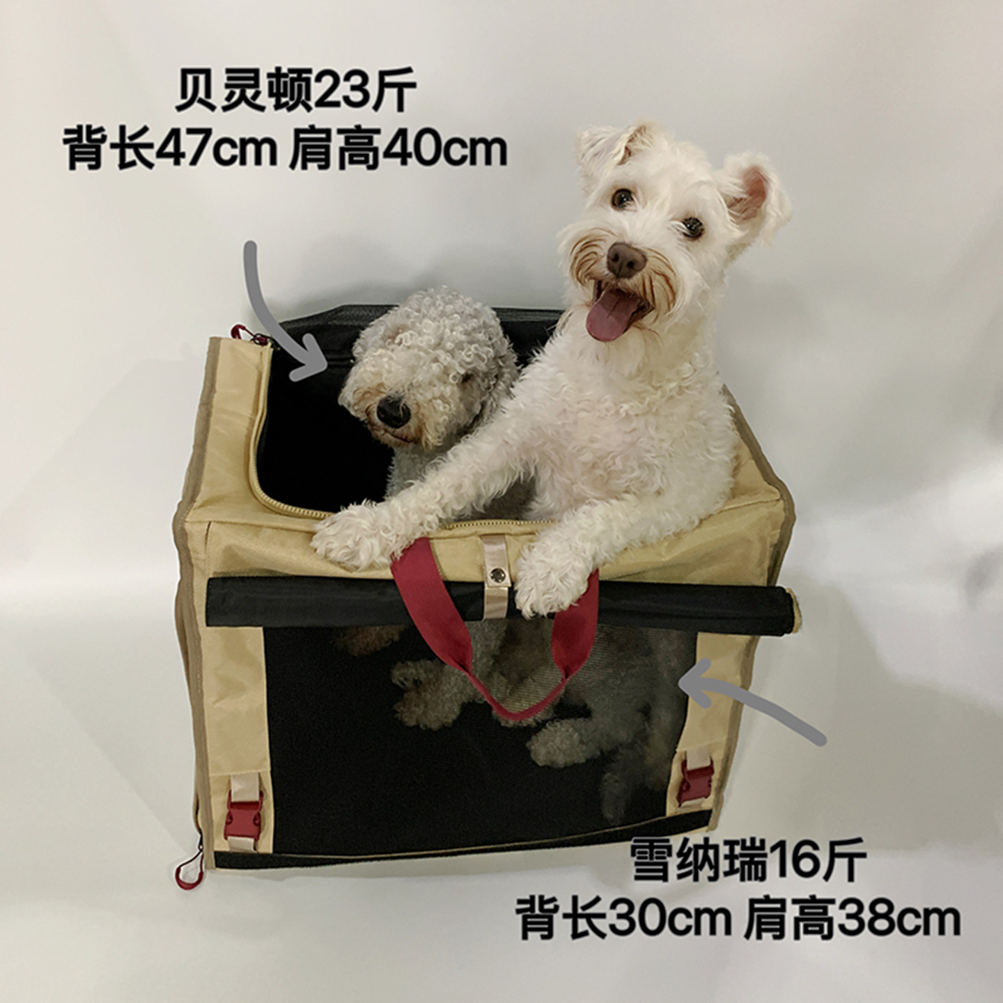宠物双肩包车载外出柯基法斗猫咪