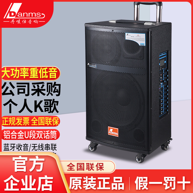 丹唛仕户外K歌音响广场舞音箱图片