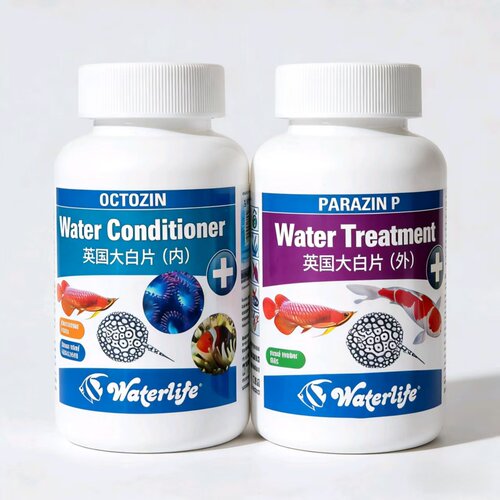 进口正品英国大白片Waterlife