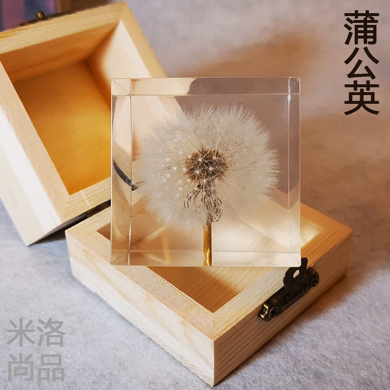 蒲公英水晶球立方体干花永生花植物标本树脂手工艺品摆件生日礼物