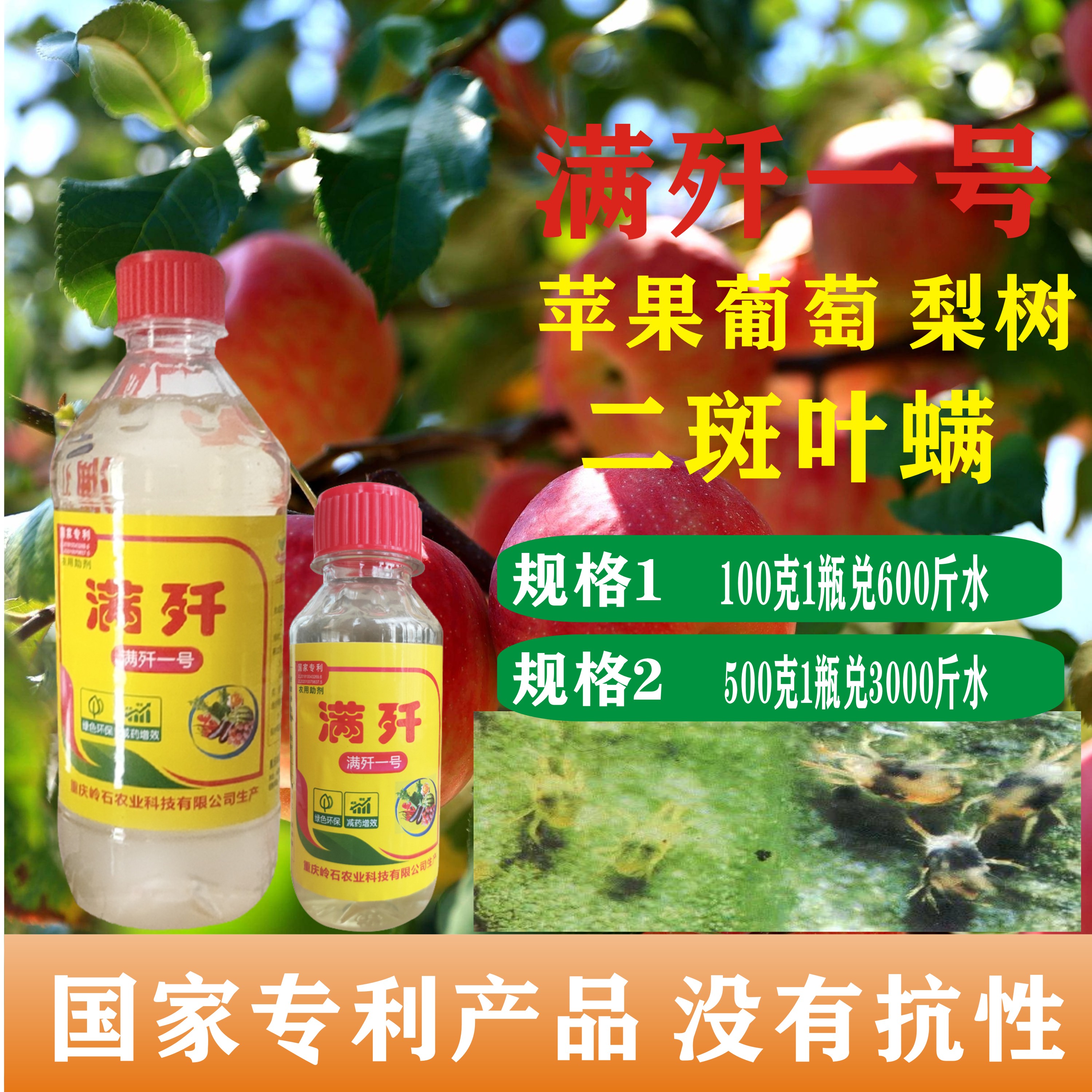 满歼一号苹果红白蜘蛛专用爆款梨树草莓二斑叶螨瓜类买大瓶500克