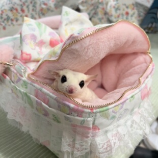 秋冬手提蜜袋鼯双仓包外出包金丝熊加厚保暖外出笼用品加绒外带包