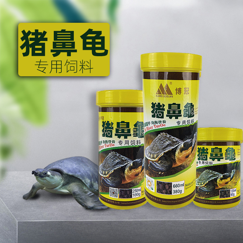 博冠黄头侧颈深水下沉型猪鼻龟