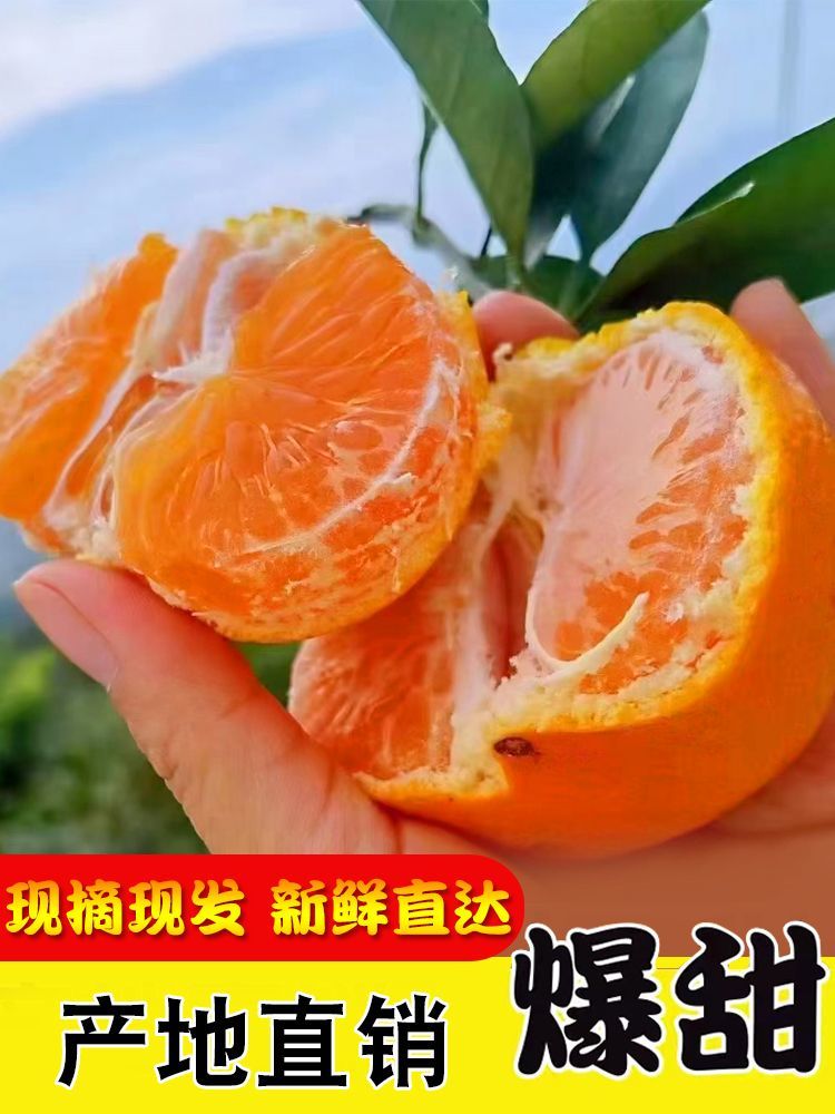 涌泉蜜桔农家自产自卖无核无渣皮薄临海蜜橘很甜多汁适合孕妇桔子