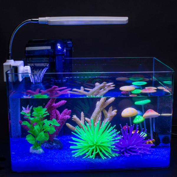 包郵透明熱彎方形玻璃金魚缸烏龜缸小型中型辦公桌水族箱造景魚缸