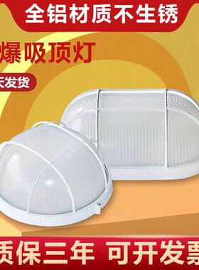 低压LED防爆灯防水灯雷达声控仓库厂房防潮灯低压12V 24V 36V 48V