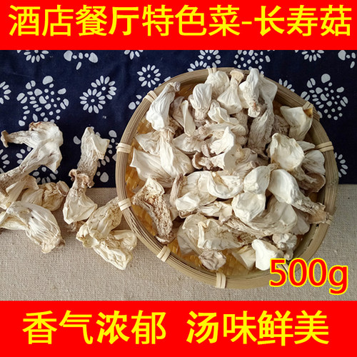 长寿菇福建武夷山特产