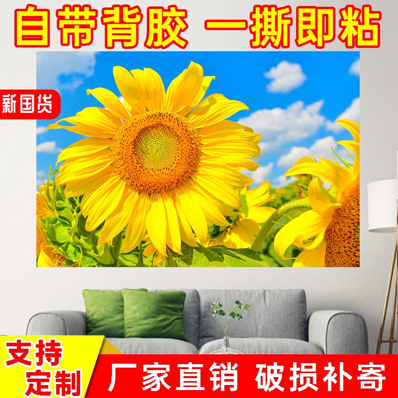 向日葵海报向阳花太阳花客厅挂画壁纸墙贴花卉风景装饰画图片自粘