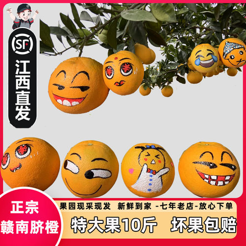 正宗江西赣南脐橙10斤当季大果