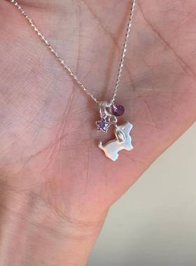 s925银紫色锆石小狗推拉锁骨链女
