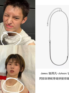 James/赵雨凡 金主训同款拼接蛇骨链女日韩小众原创钛钢锁骨链男