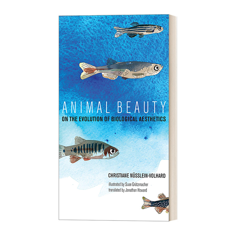 英文原版 Animal Beauty The MIT Press 动物之美 论生物美学的进化 精装插图版 Christiane Nüsslein-Volhard 进口英语原版书籍