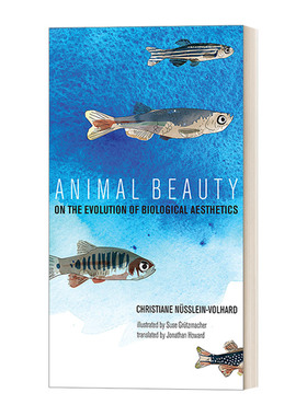 英文原版 Animal Beauty The MIT Press 动物之美 论生物美学的进化 精装插图版 Christiane Nüsslein-Volhard 进口英语原版书籍