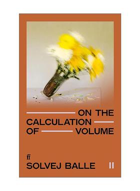 英文原版 On the Calculation of Volume II 时间空间之谜 卷二 丹麦作家Solvej Balle 北欧理事会文学奖 英文版进口英语原版书籍