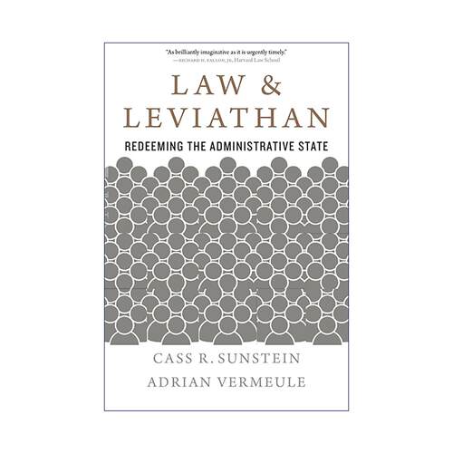 英文原版 Law and Leviathan 法律与利维坦 救赎行政国家 英文版 进口英语原版书籍