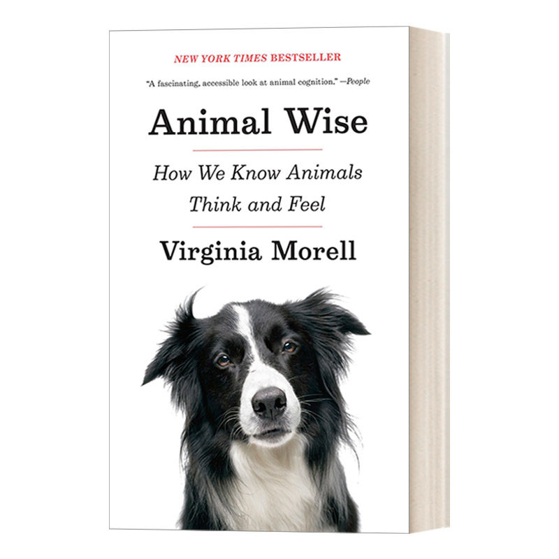 英文原版 Animal Wise 动物的智慧 我们如何了解动物的思想和感受 宠物 认知科学 Virginia Morell 英文版 进口英语原版书籍