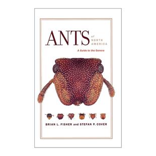 英文原版 Ants of North America 北美的蚂蚁 蚁属指南 Brian L. Fisher 加州大学 英文版 进口英语原版书籍