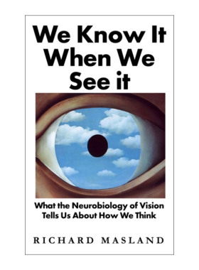 We Know It When We See It 我们如何看见又如何思考 理查德·马斯兰 精装进口原版英文书籍