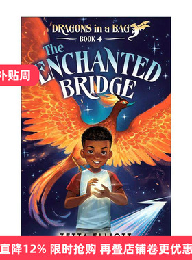 英文原版 The Enchanted Bridge Dragons in a Bag 04 魔法桥 袋子里的龙系列4 儿童奇幻小说 Zetta Elliott 进口英语原版书籍