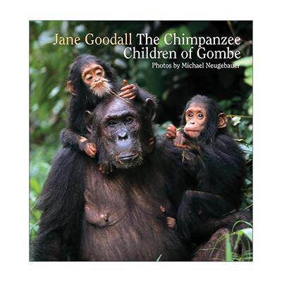 英文原版 Chimpanzee Children of Gombe 英文版 进口英语原版书籍